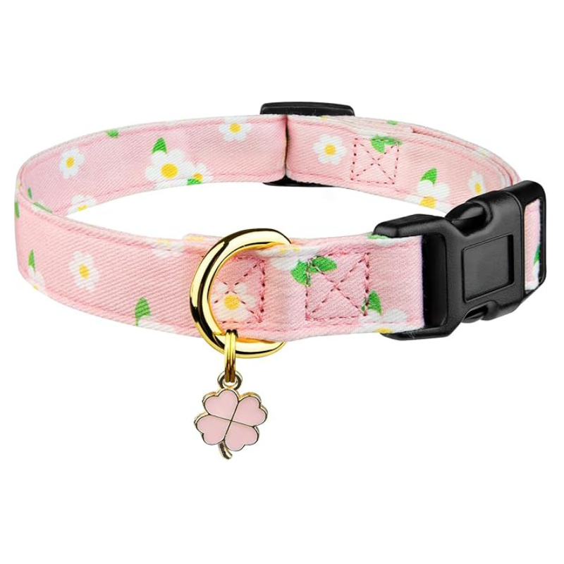 Trendy Dog Collar With Pendent