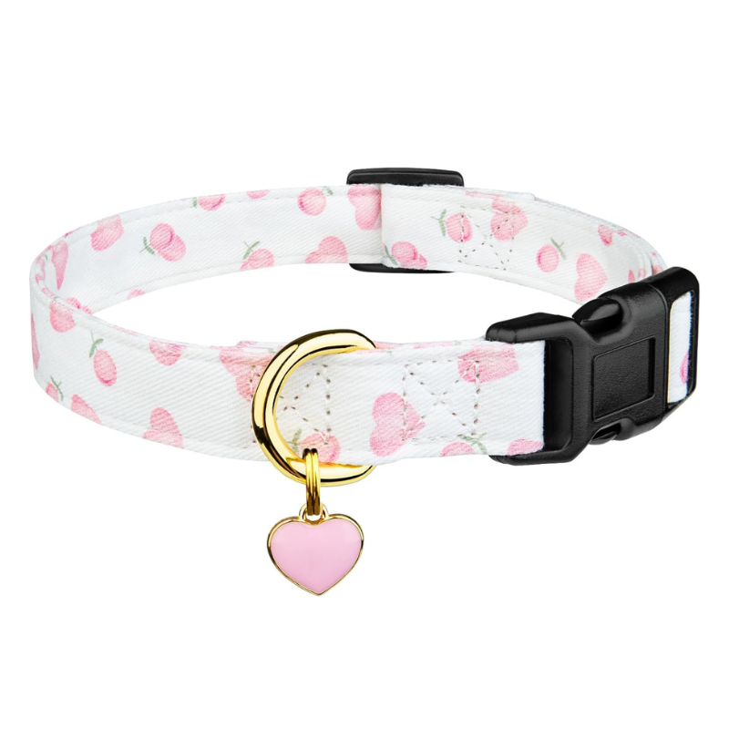 Trendy Dog Collar With Pendent