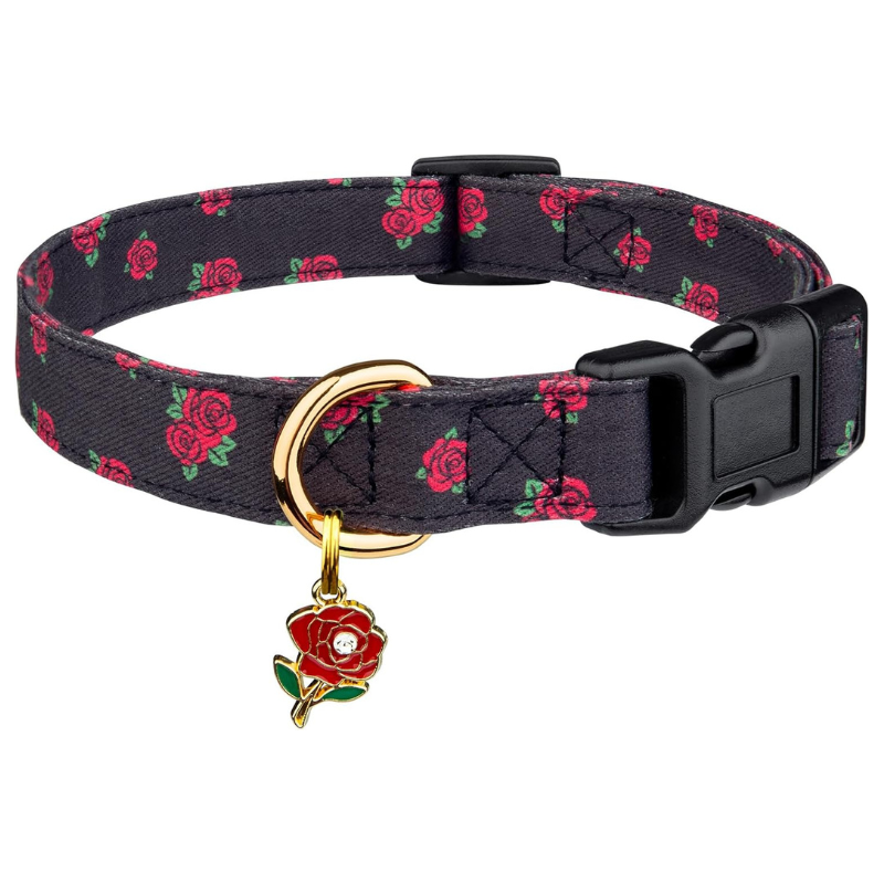 Trendy Dog Collar With Pendent