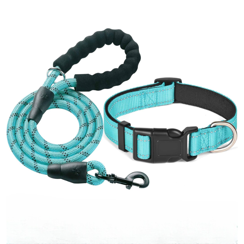 Soft Padded Reflective Dog Collar