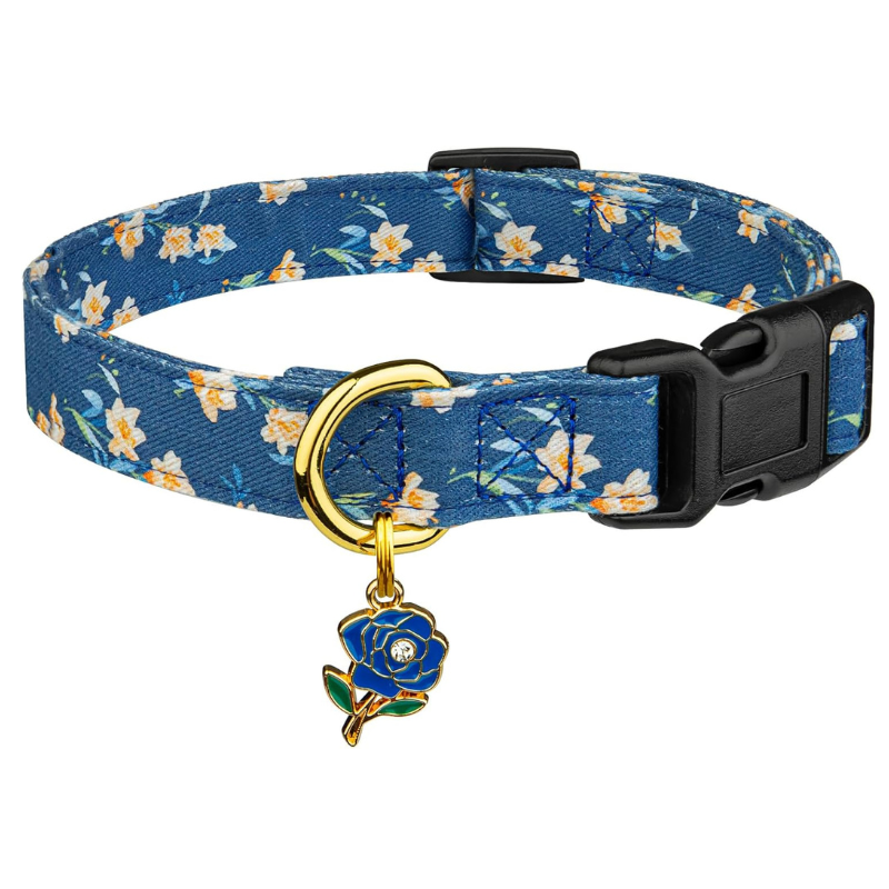 Trendy Dog Collar With Pendent