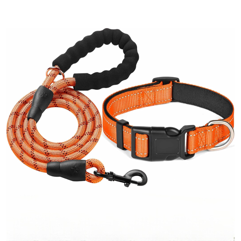 Soft Padded Reflective Dog Collar