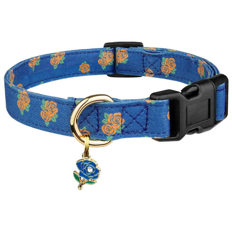 Trendy Dog Collar With Pendent