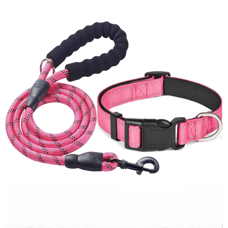 Soft Padded Reflective Dog Collar