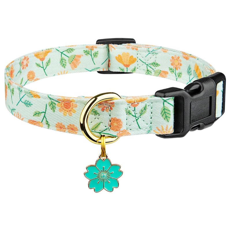 Trendy Dog Collar With Pendent