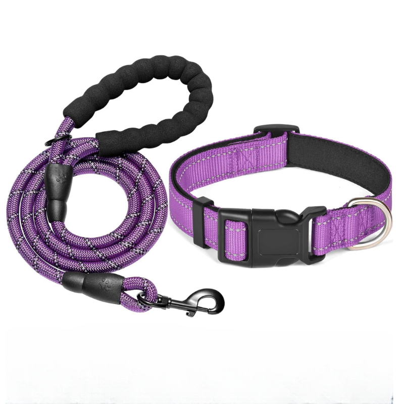Soft Padded Reflective Dog Collar