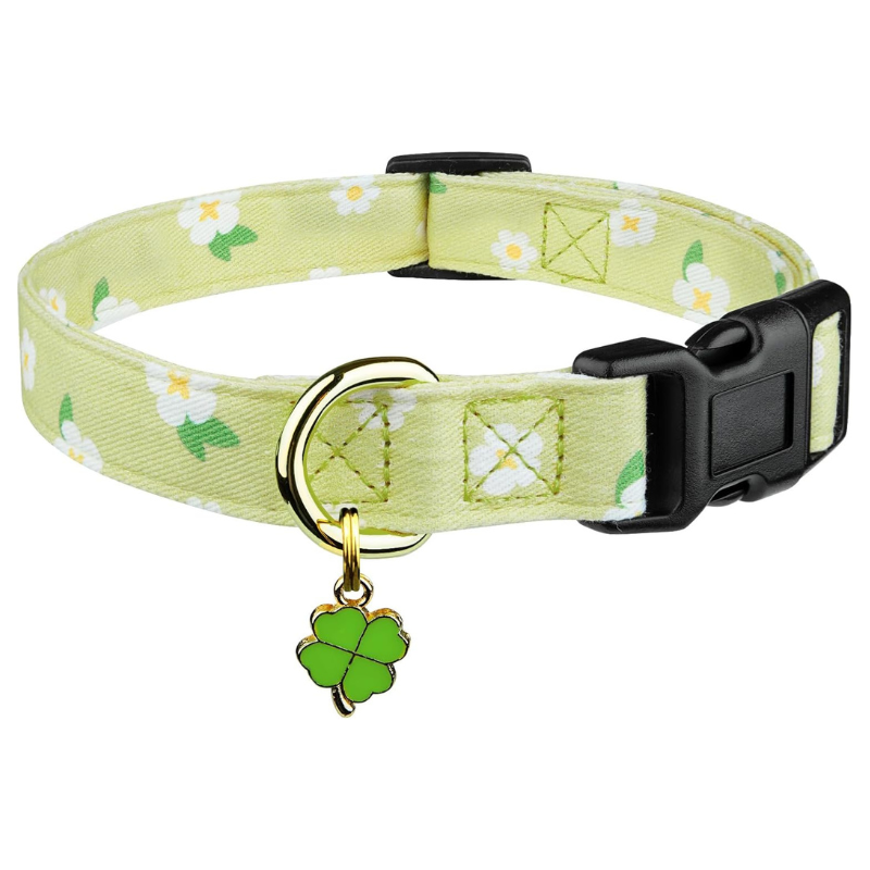 Trendy Dog Collar With Pendent