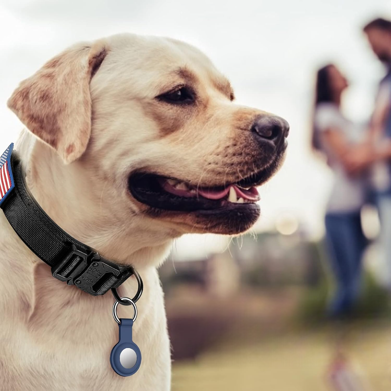 Tactical Dog Collar with Handle And Metal Buckle