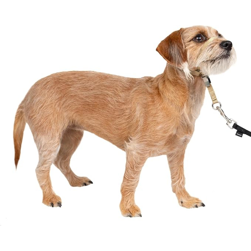 Adjustable No Pull Dog Collar
