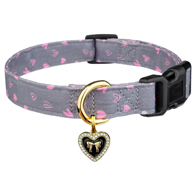 Trendy Dog Collar With Pendent