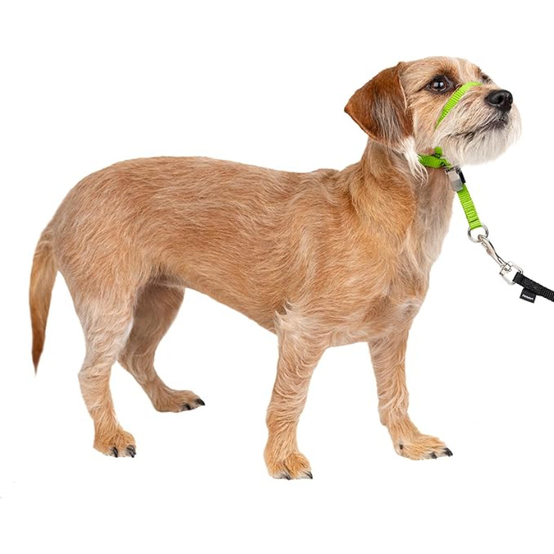 Adjustable No Pull Dog Collar