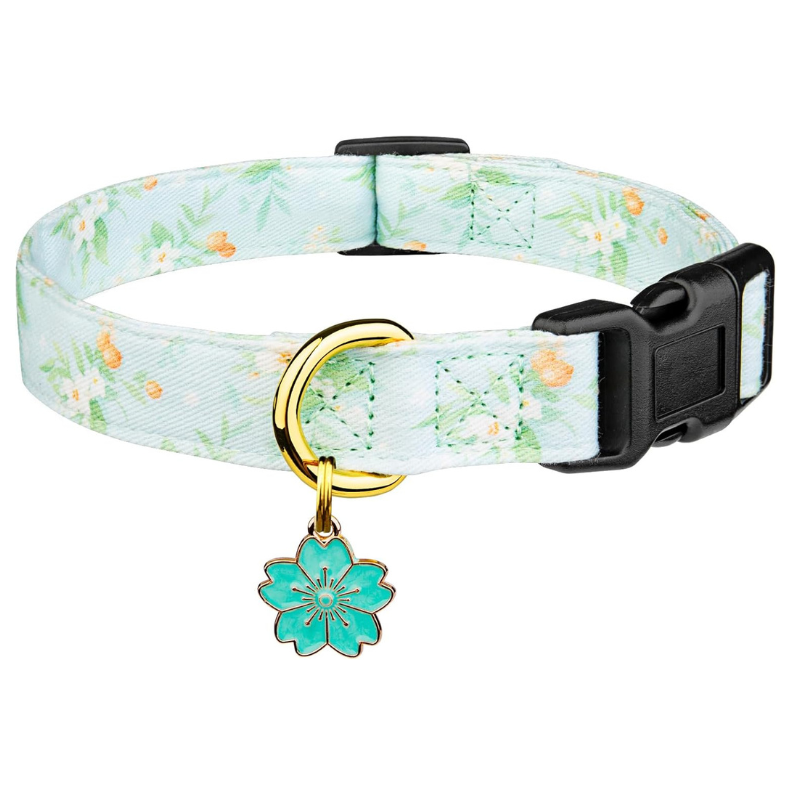 Trendy Dog Collar With Pendent