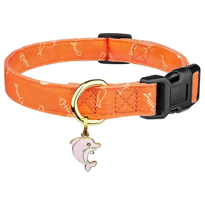 Trendy Dog Collar With Pendent