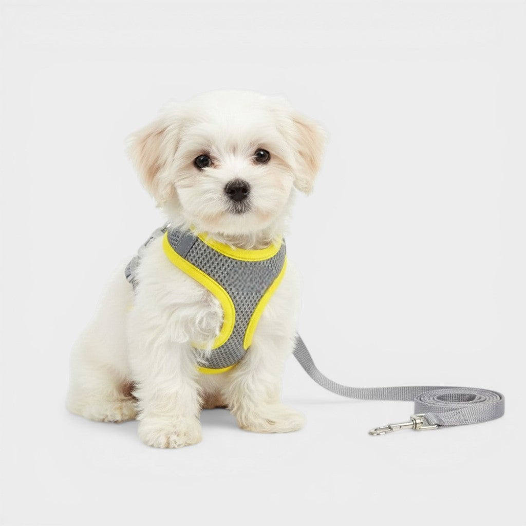 Adjustable Step In Dog Harness With Leash Set