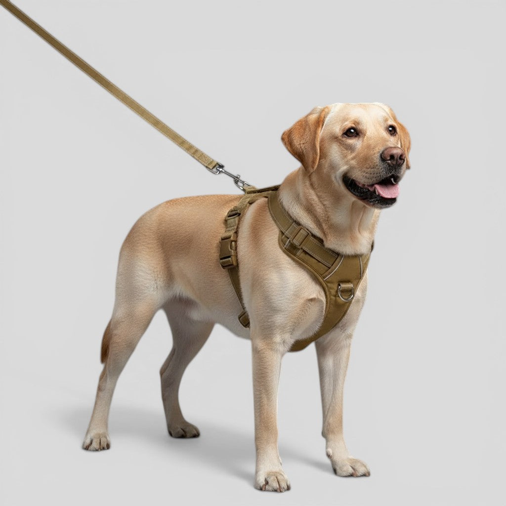 Outdoor Tactical Dog Harness