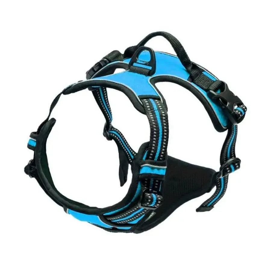 Adjustable Dog Harness and Collar Set