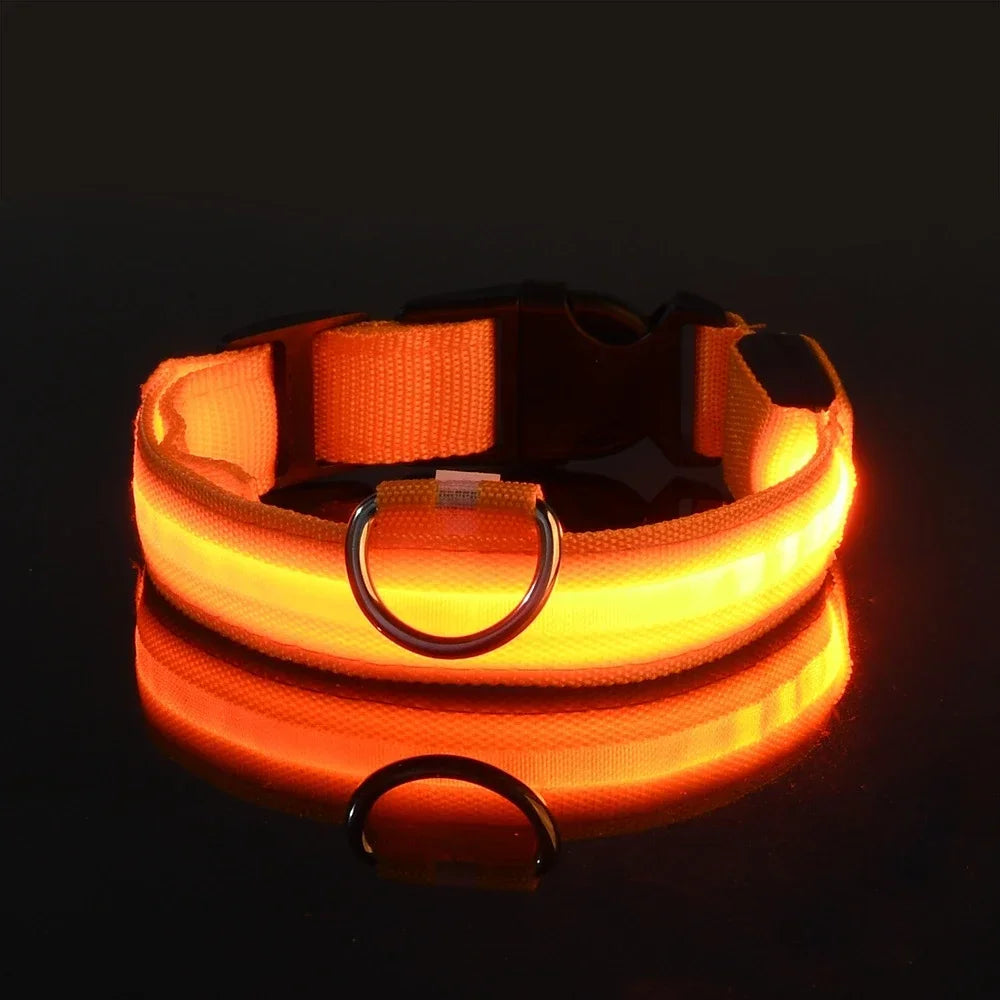 Reflective LED Night Safety Collar