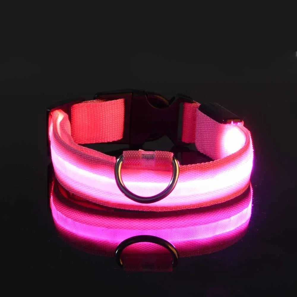Reflective LED Night Safety Collar