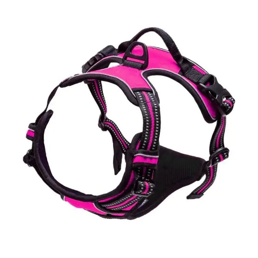 Adjustable Dog Harness and Collar Set