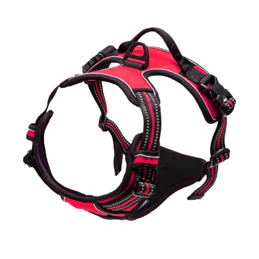 Adjustable Dog Harness and Collar Set
