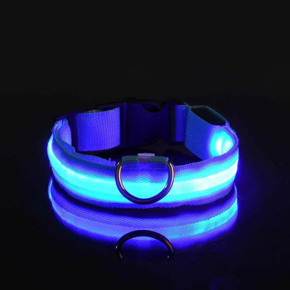 Reflective LED Night Safety Collar