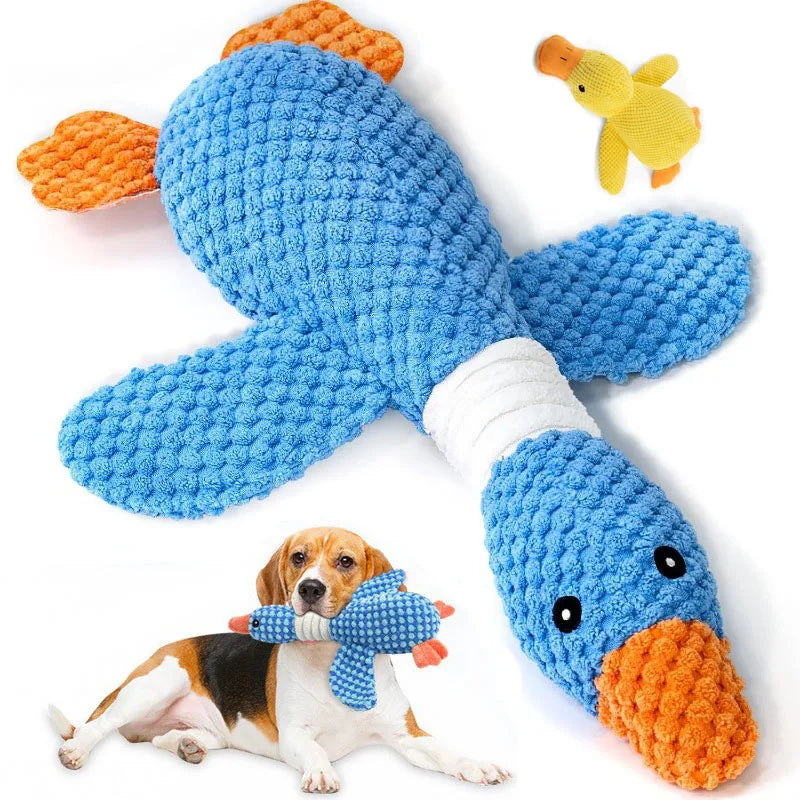 Stuffing Free Squeaky Dog Toy