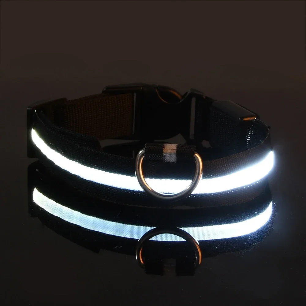 Reflective LED Night Safety Collar