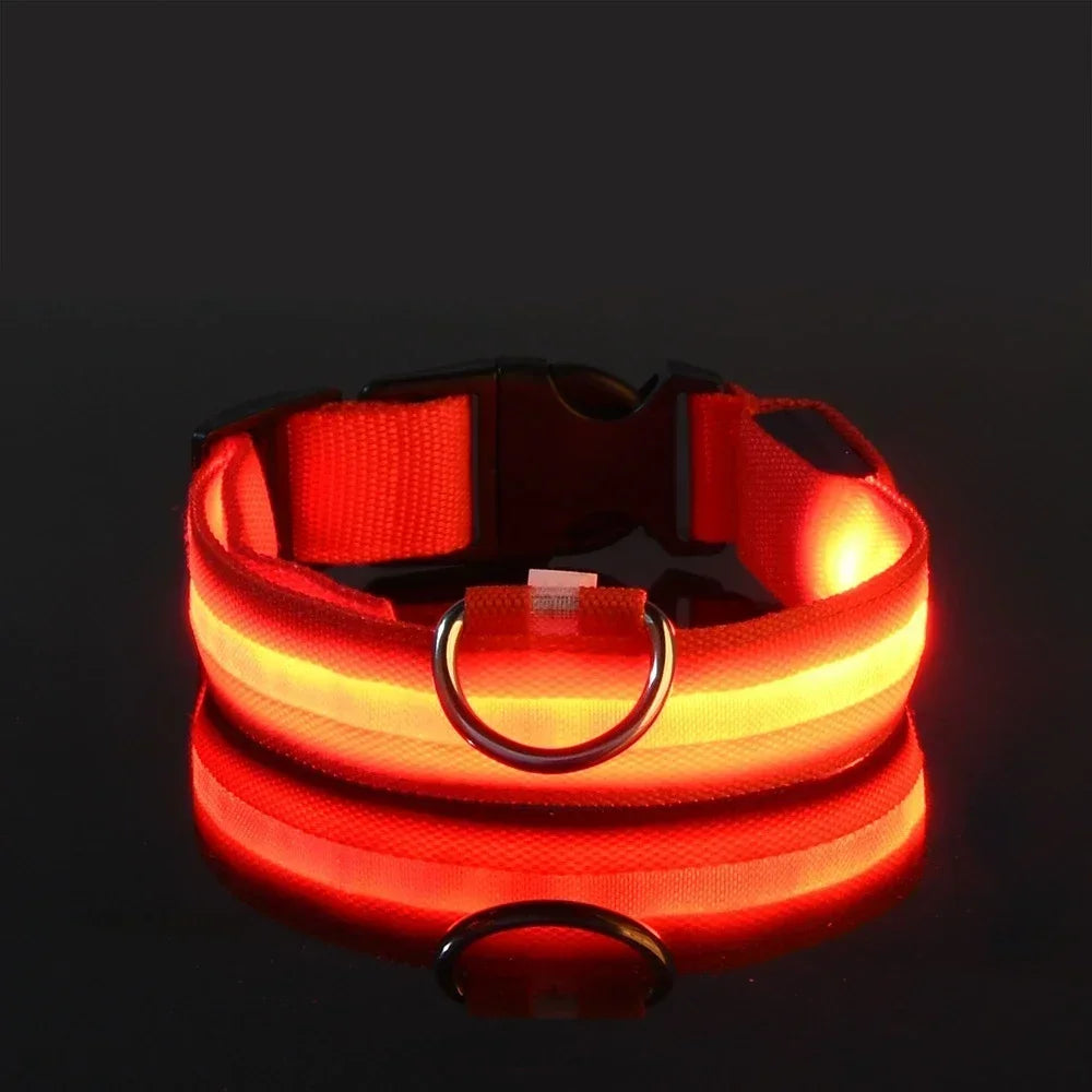 Reflective LED Night Safety Collar