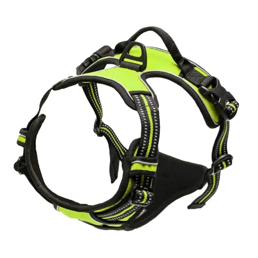 Adjustable Dog Harness and Collar Set