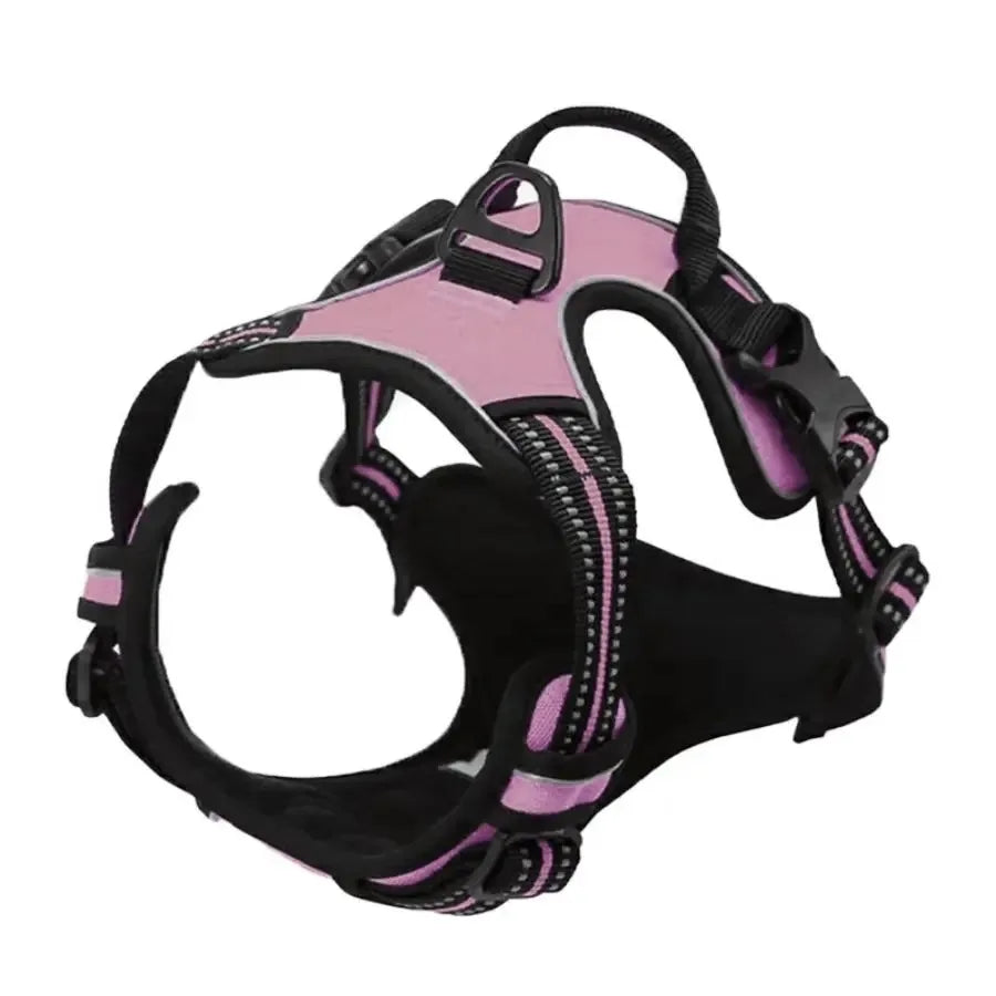 Adjustable Dog Harness and Collar Set