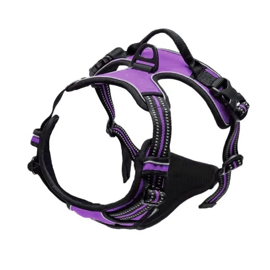 Adjustable Dog Harness and Collar Set