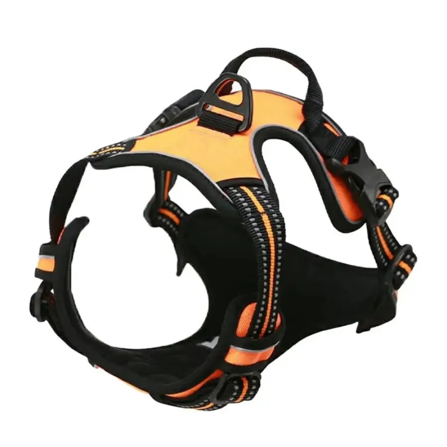 Adjustable Dog Harness and Collar Set