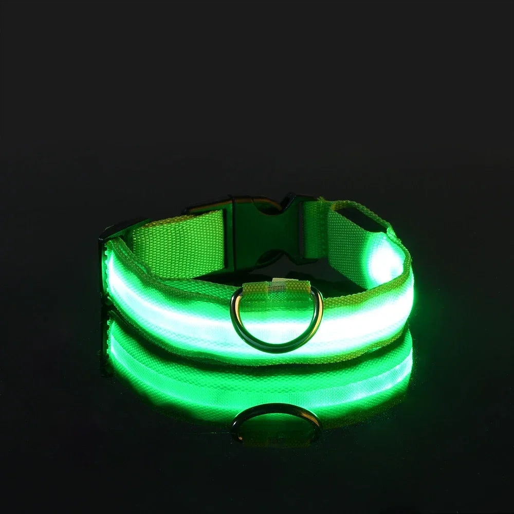Reflective LED Night Safety Collar