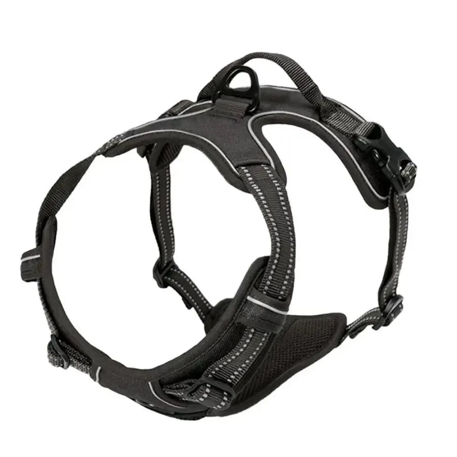 Adjustable Dog Harness and Collar Set