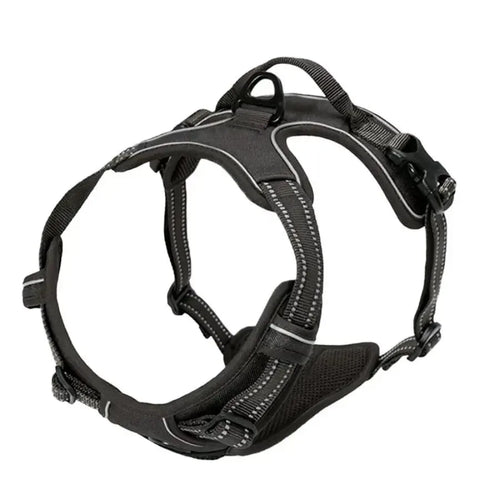 Adjustable Dog Harness and Collar Set