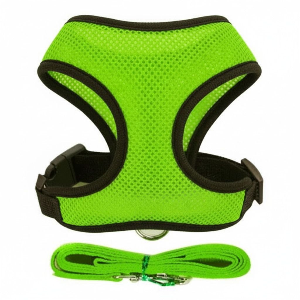Soft Mesh Adjustable Dog Harness With Matching Leash
