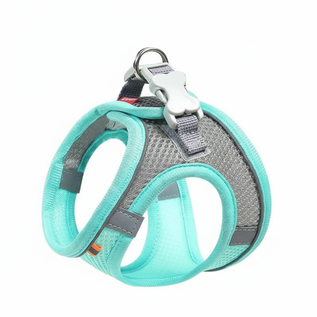 Adjustable Step In Dog Harness With Leash Set