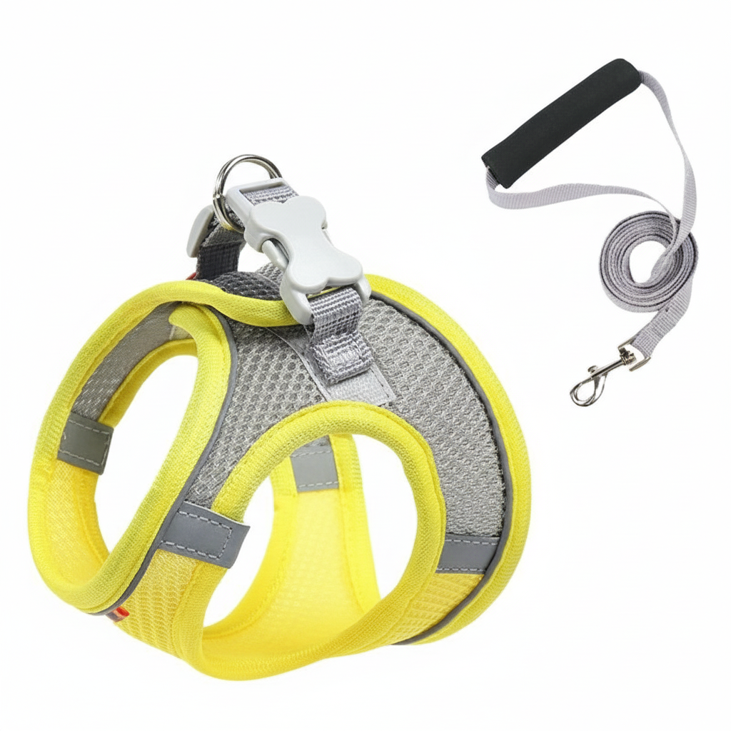 Adjustable Step In Dog Harness With Leash Set
