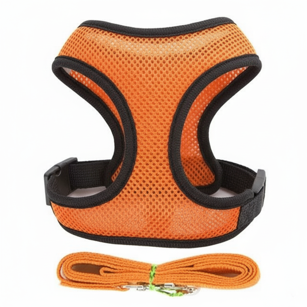 Soft Mesh Adjustable Dog Harness With Matching Leash