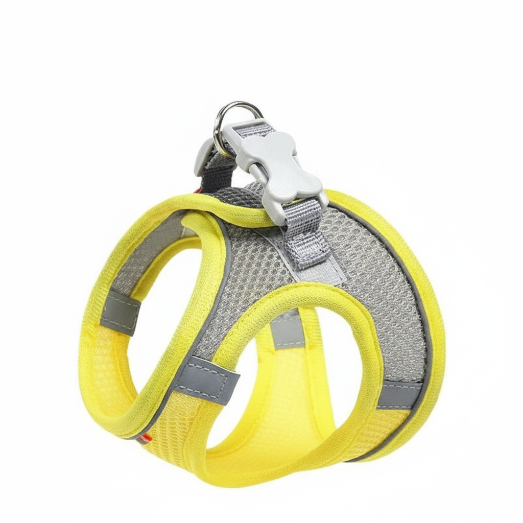 Adjustable Step In Dog Harness With Leash Set