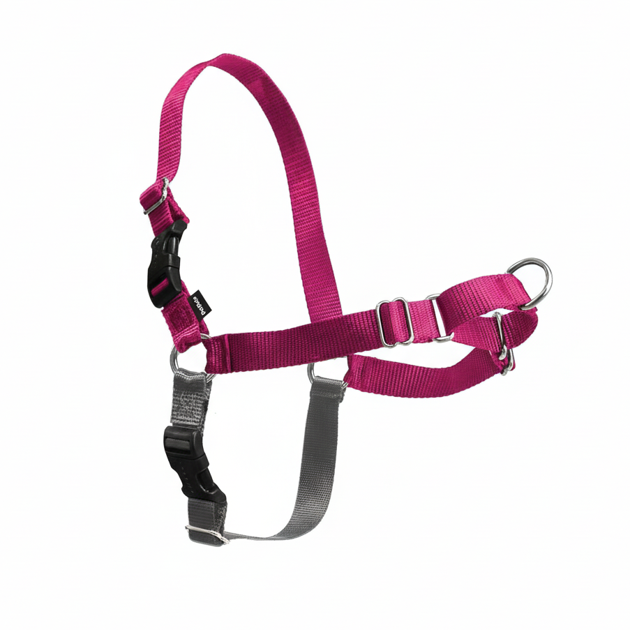 No Pull Easy Walk Dog Harness
