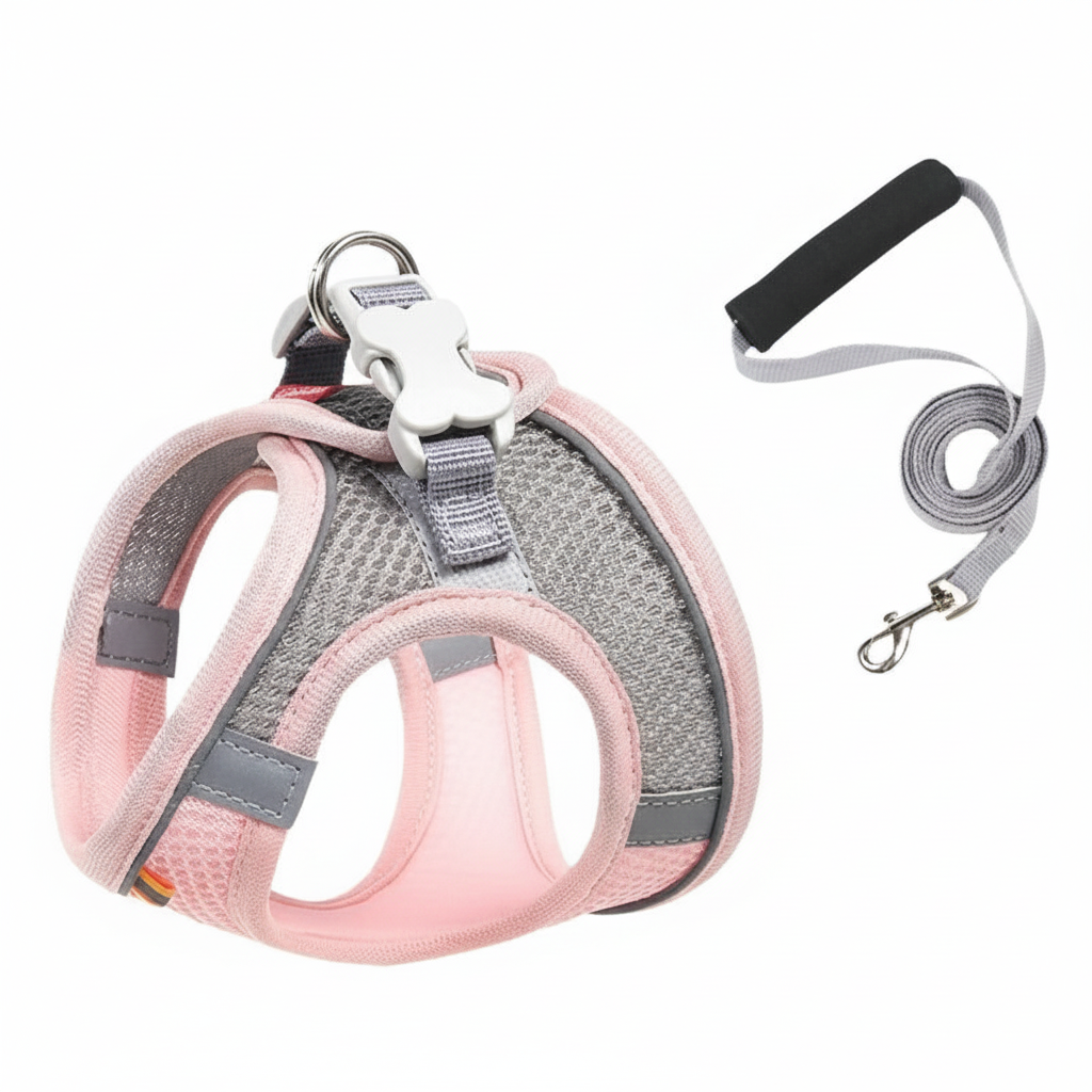 Adjustable Step In Dog Harness With Leash Set