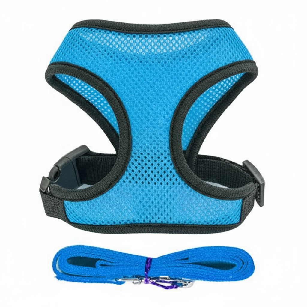Soft Mesh Adjustable Dog Harness With Matching Leash