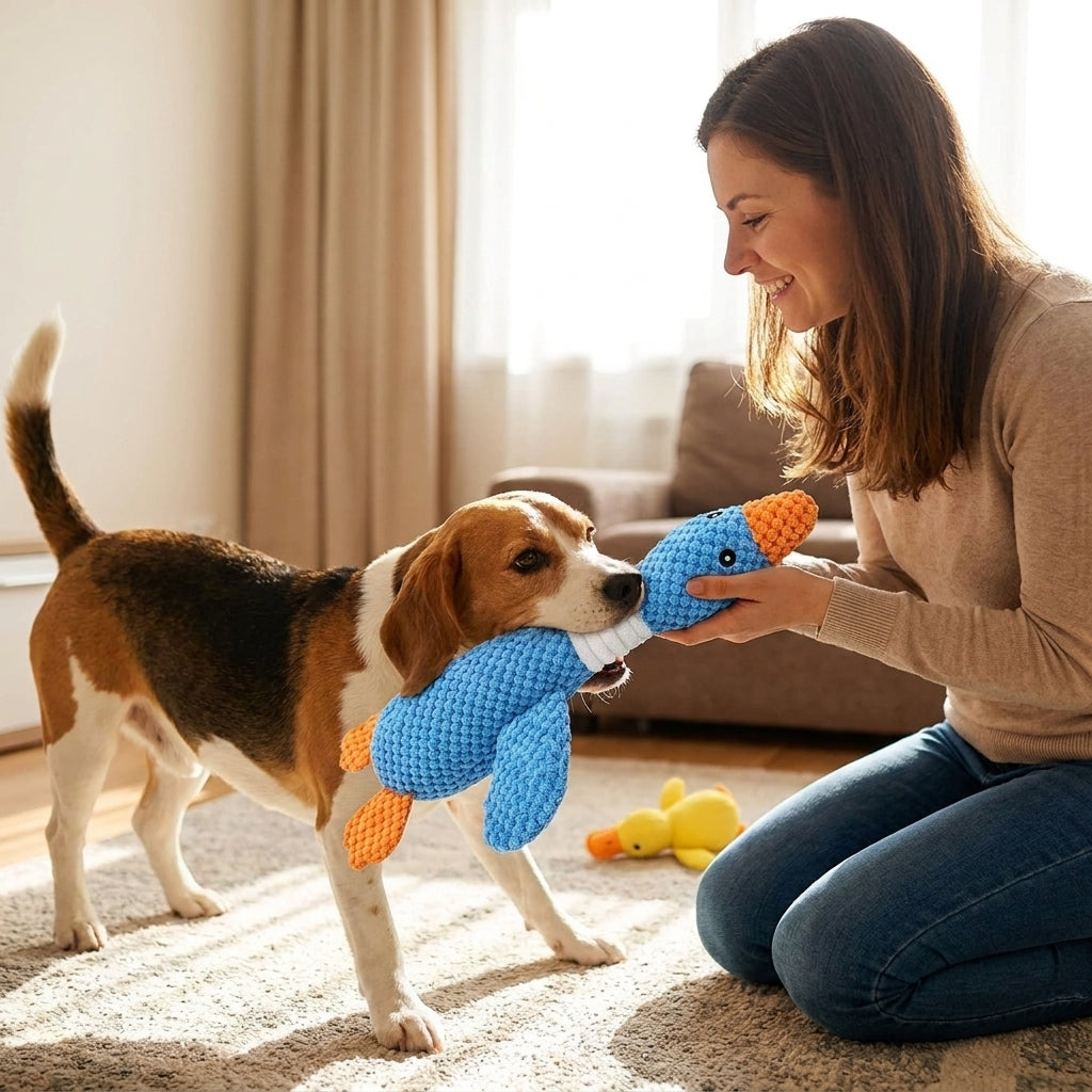 Stuffing Free Squeaky Dog Toy