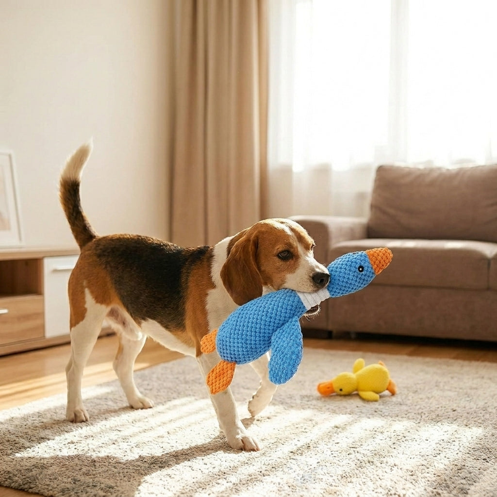 Stuffing Free Squeaky Dog Toy